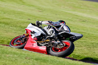 Evening Low_Mid Group